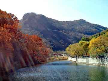 管家婆黑白马报图库，钨钢价格